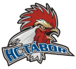 HC Tábor